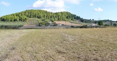 Terrain dans Kassandreia, Grèce