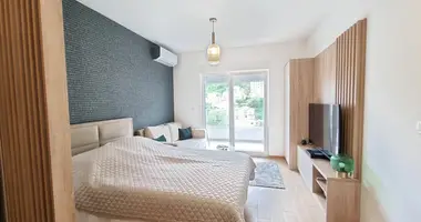 1 bedroom apartment in Budva, Montenegro