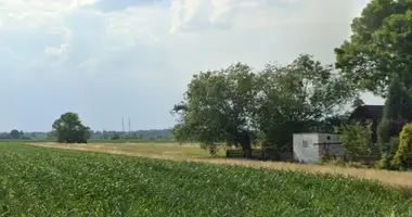Parcela en Voivodato de Pequeña Polonia, Polonia