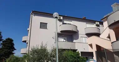 Отель 10 спален в Медулин, Хорватия