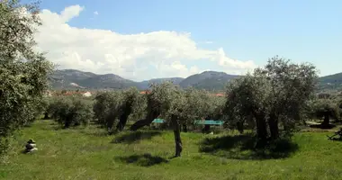 Участок земли в Мариес, Греция