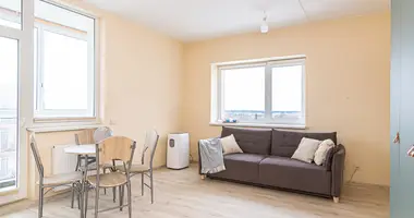 Appartement 1 chambre dans Vilnius, Lituanie