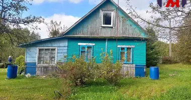 House in Ziembinski sielski Saviet, Belarus