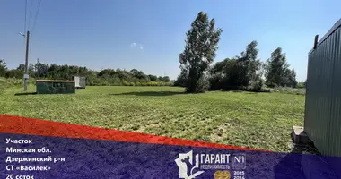 Plot of land in Stankauski sielski Saviet, Belarus