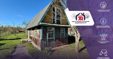 Haus in Starobinski sielski Saviet, Belarus