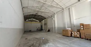 Warehouse 300 m² in Tirana Municipality, Albania