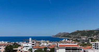 Apartamento 1 habitacion en Montenegro