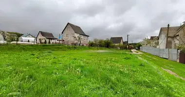 Grundstück in Lasanski sielski Saviet, Belarus