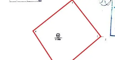 Grundstück in Lieskauka, Belarus