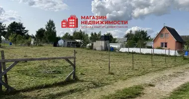 Plot of land in Kvasouski sielski Saviet, Belarus