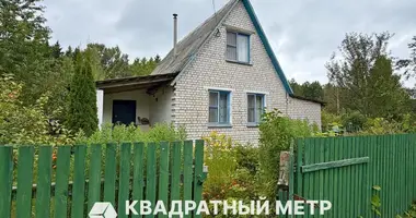 Maison dans Putcynski sielski Saviet, Bélarus
