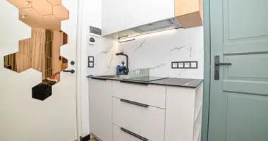 Apartamento 1 habitación en Todos los paises
