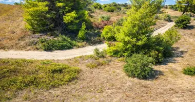 Plot of land in Kassandrino, Greece