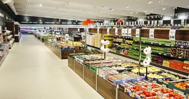 Propriété commerciale 578 m² dans Barcelone, Espagne