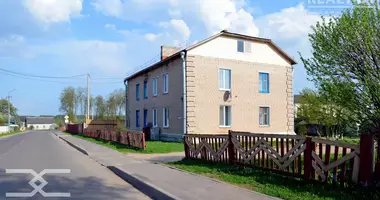 1 room apartment in Byerazino District, Belarus