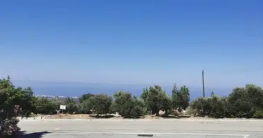 Участок земли в Тала, Кипр