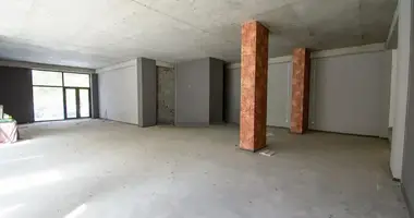 Коммерческое помещение 350 м² в Тбилиси, Грузия