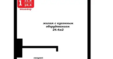 1 room apartment in Minsk, Belarus
