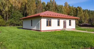 House in Bialarucki sielski Saviet, Belarus