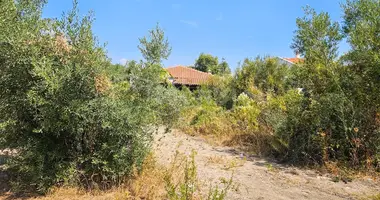 Terrain dans Polychrono, Grèce