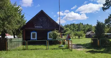 Dom w Shatsky rural council, Białoruś