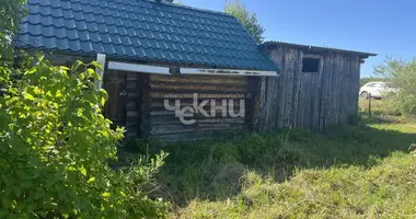 House in gorodskoj okrug Bor, Russia