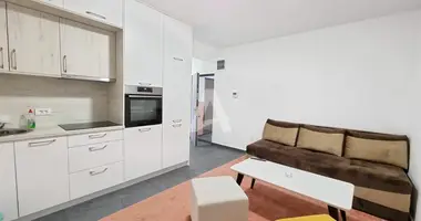 Apartamento 1 habitacion en Lastva Grbaljska, Montenegro