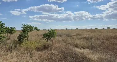 Plot of land in Prilimanske, Ukraine
