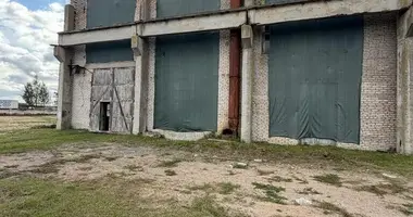 Producción 878 m² en Karelichy, Belarús