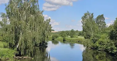 Plot of land in Holacki sielski Saviet, Belarus