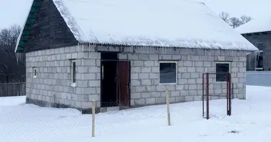 House in Homyel, Belarus