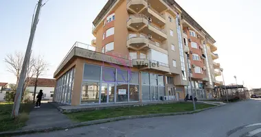 2 bedroom apartment in Podgorica, Montenegro