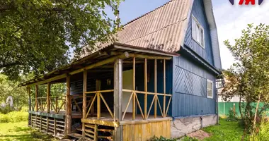 House in Rakauski sielski Saviet, Belarus