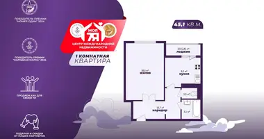 1 room apartment in Minsk, Belarus