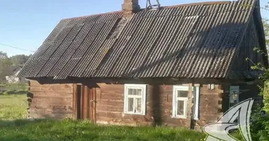 Terrain dans Kliejnikauski sielski Saviet, Bélarus
