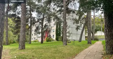Квартира 1 комната в Вильнюс, Литва