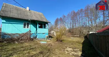 House in Aliachnovicki sielski Saviet, Belarus