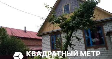 House in Rakauski sielski Saviet, Belarus