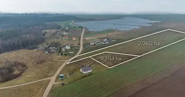 Działka w Biedugnia, Litwa