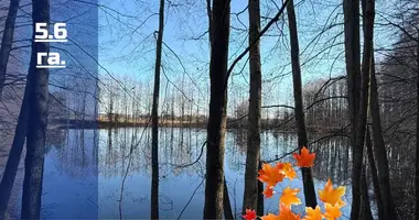 Maison dans Damasevicy, Bélarus