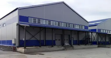 Entrepôt 1 700 m² dans Suharevo, Russie