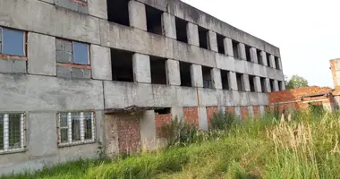 Manufacture 1 296 m² in Vitsebsk, Belarus