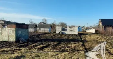 Parcela en Znamienski sielski Saviet, Belarús