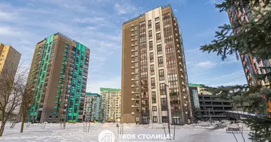 2 bedroom apartment in Minsk, Belarus