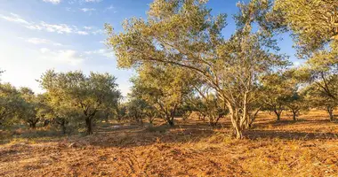 Plot of land in Neos Marmaras, Greece
