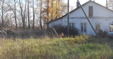 2 room house in Kalozhicy, Russia