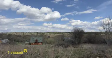 Terrain dans Dziamidavicki sielski Saviet, Bélarus