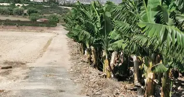 Grundstück in Paphos, Zypern