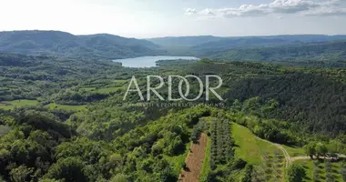 Terrain dans Grimalda, Croatie