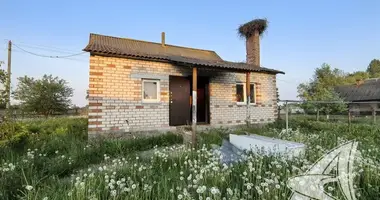 House in Batcy, Belarus